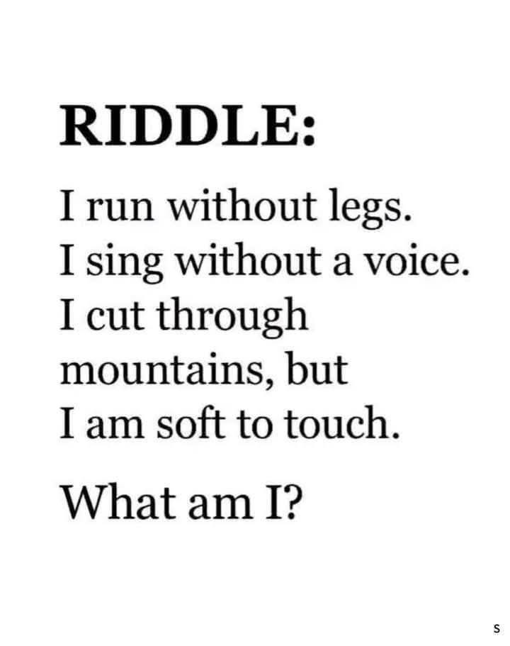 Lily 🇺🇸 tweet media