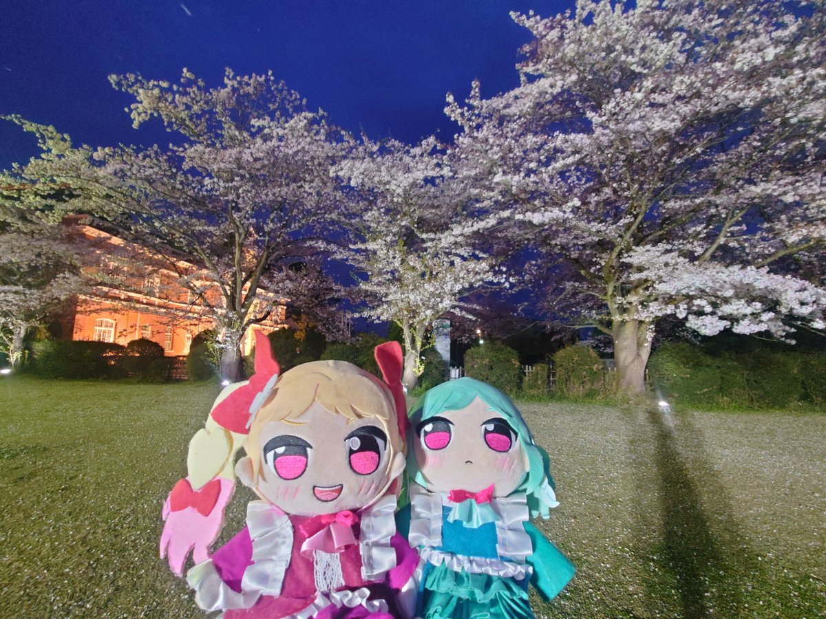 Neo全ネジ重課金勢 tweet media