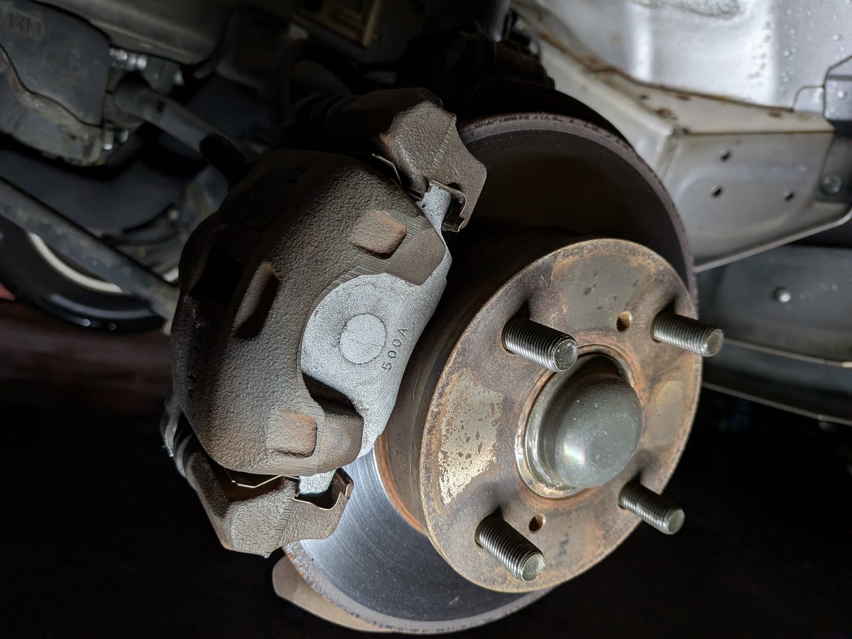 チキンミウラ【公式】 tweet media