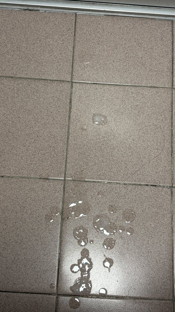 潮吹犬 tweet media