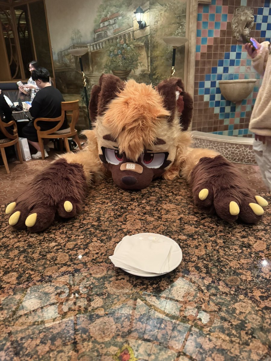 애쉬Ashアッシュ 🔜FurstClass tweet media