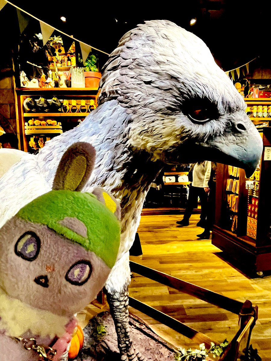 おたぬ/Otanu🐰✈️ tweet media