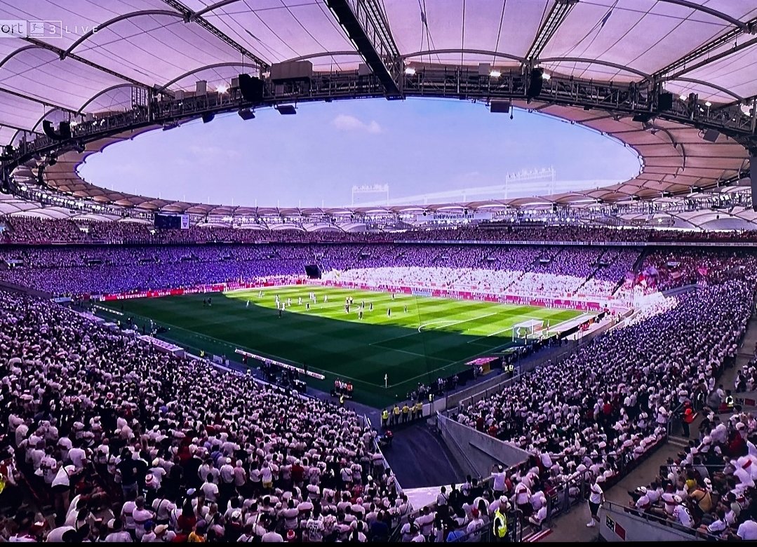 Rosenlippenmädchen  tweet media