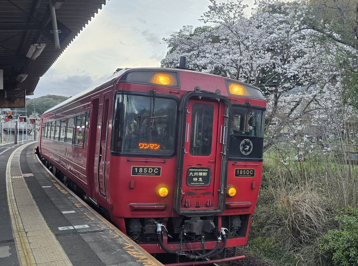 特急ソニック883🛤️night express sonic883🌃 tweet media