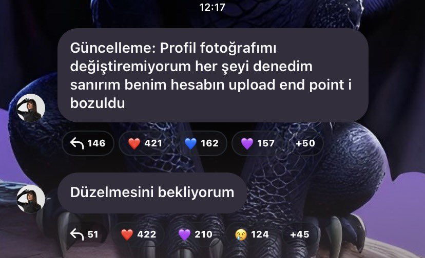 ekin #stravzies 𓍢ִ໋✧ tweet media
