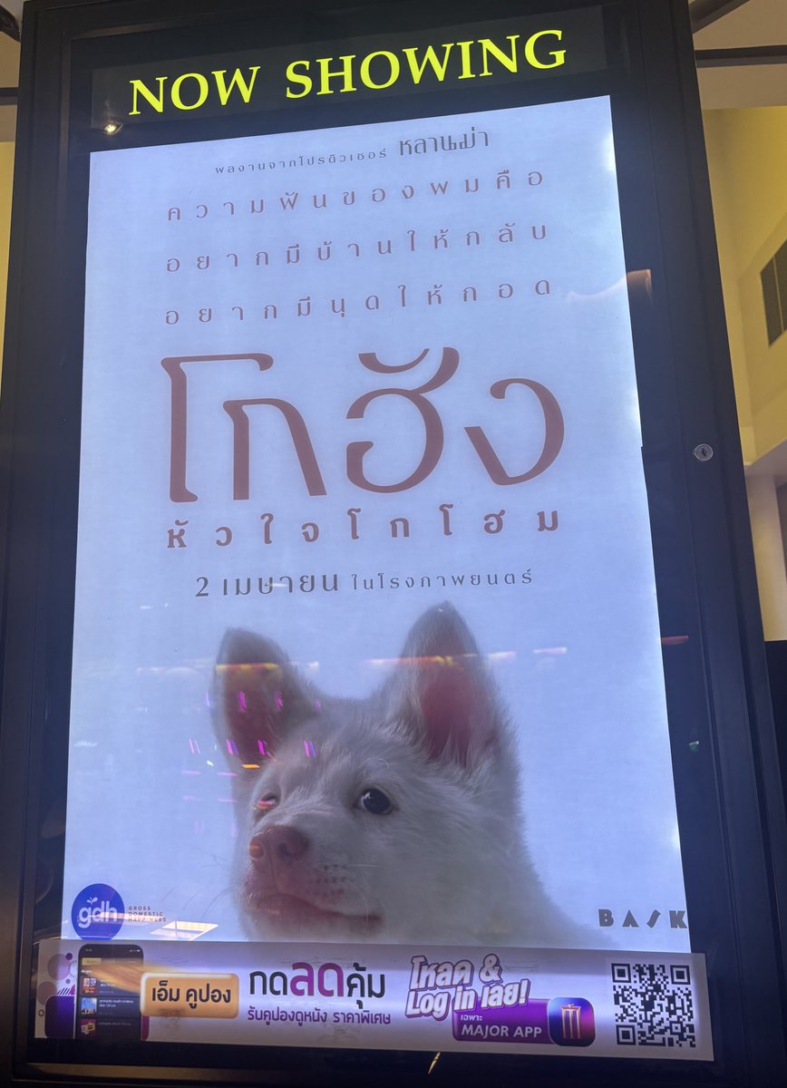 🐳🐻❄️Sophie🐻🐼 tweet media