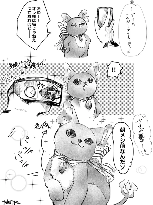 最近この傾げてるポーズよく見かけ過ぎて
グリムにもやって欲しい🐱 