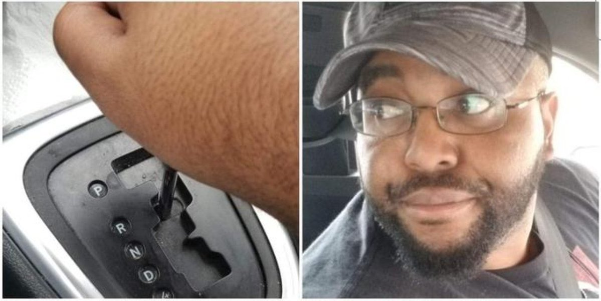 Wolfchulo 🐺🐾 tweet media