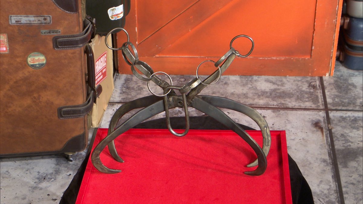 クレイジージャーニー【月曜よる11時56分】 tweet media