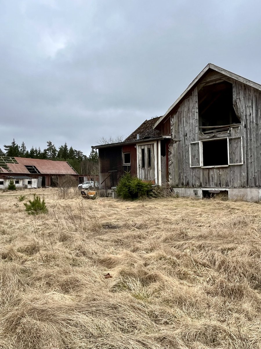 Sandstorm tweet media