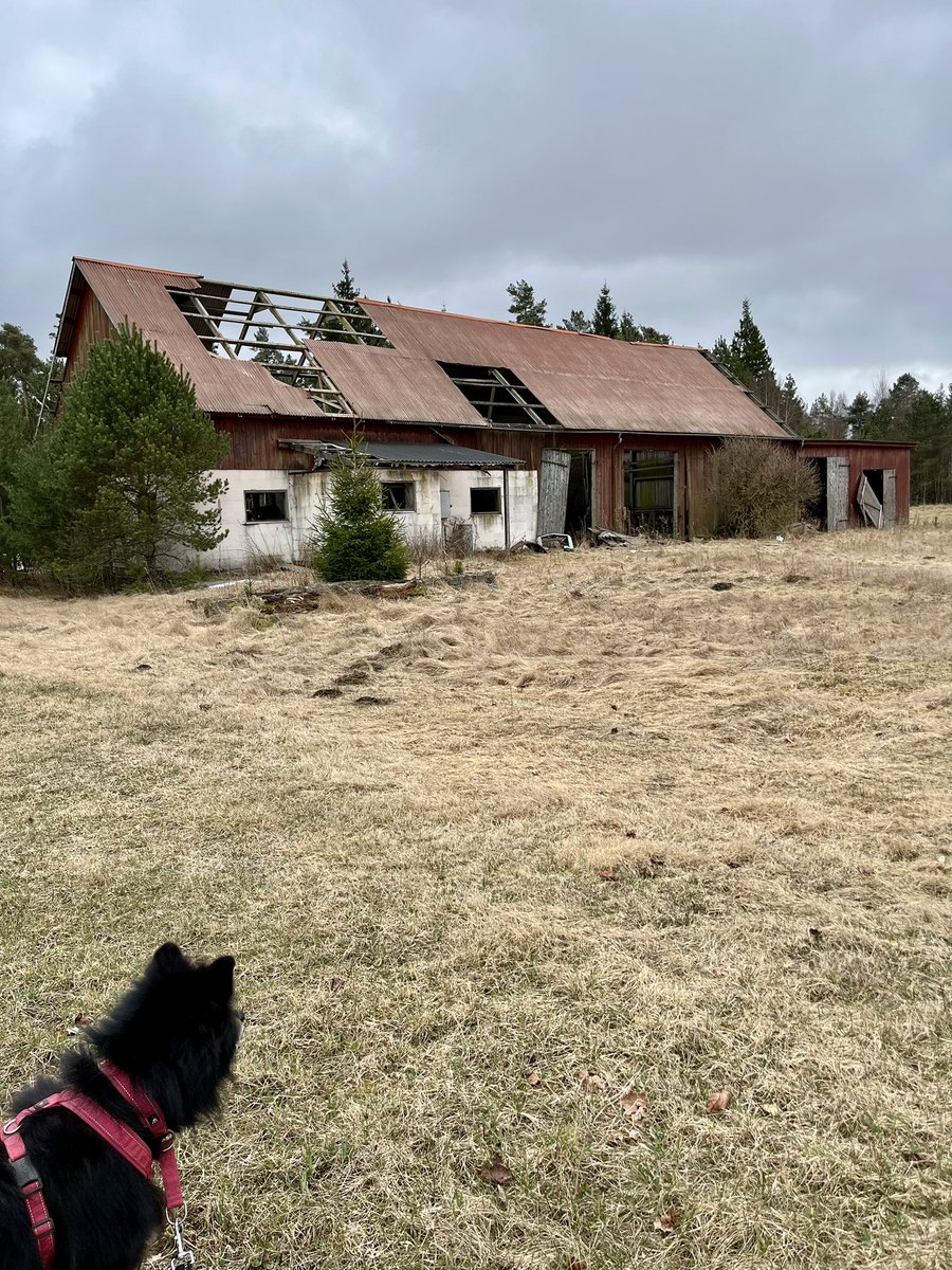 Sandstorm tweet media