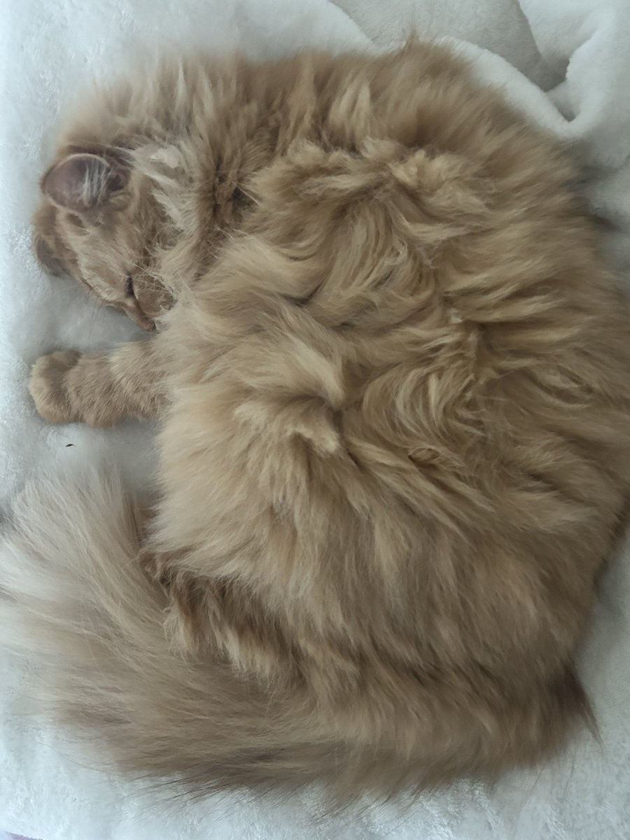 𝐰𝐢𝐧𝐧𝐢𝐞 ᢉ𐭩 tweet media