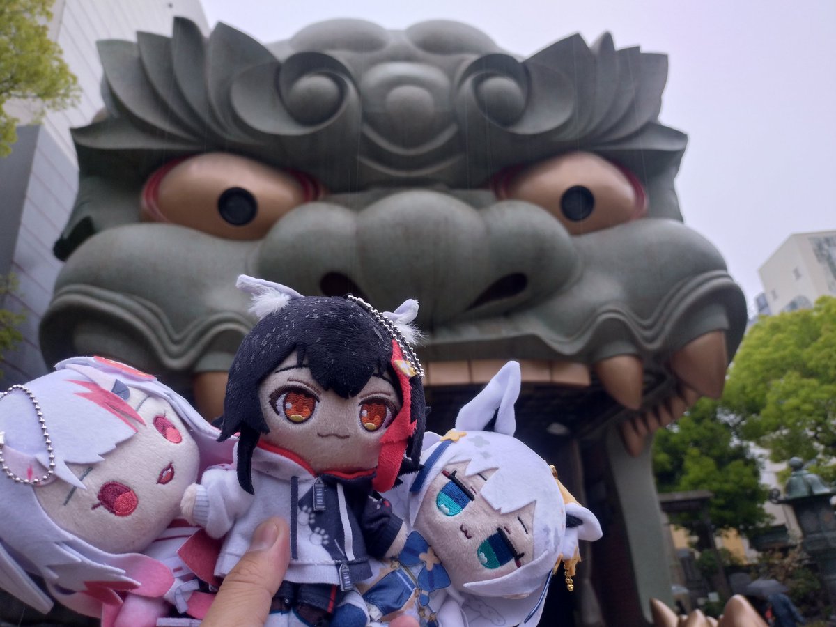 ピカソ🐻🚑️🌽🌲🐏☃️🥀🍃🐚ホロックスライブ、ういライブ参加！ tweet media