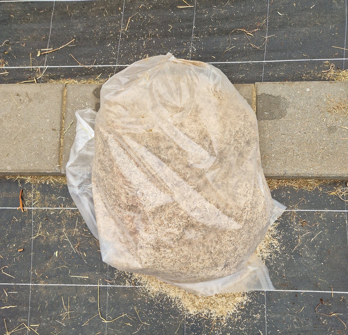 👸sunsparkle🌞Fee🎁 tweet media