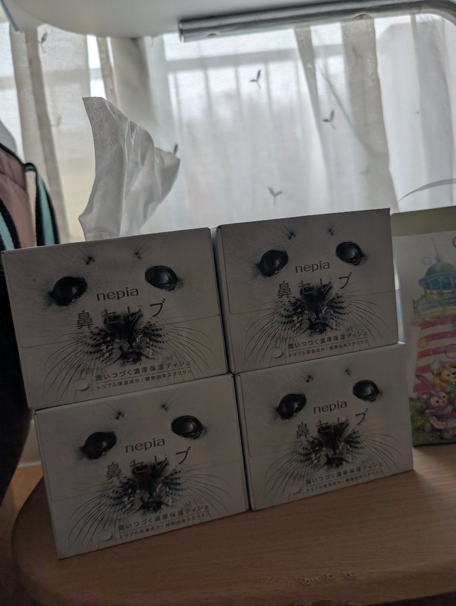 ゆき🐾🐾🐾🌈✨🐶🦭💓 tweet media