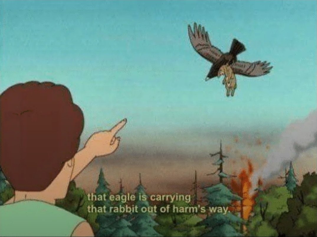 AJ Curet tweet media