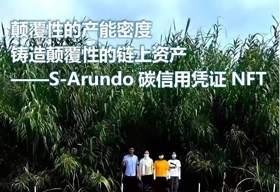 s_arundo2026's tweet photo. 超级芦竹亩产干物质可达5-10吨/年，是普通农作物秸秆的7-20倍；每年每亩固碳8.5-17吨，是森林的25-50倍；一次种植，连续收割20年以上；广泛适应于盐碱地等边际土地种植（pH3.5-9）；热值可达4200-4600大卡。超级芦竹可用于现代生物质能源、炭基肥料、纸浆造纸、碳汇与生态修复等产业的稳定的原料来源。 https://t.co/Yyp9foQfhL