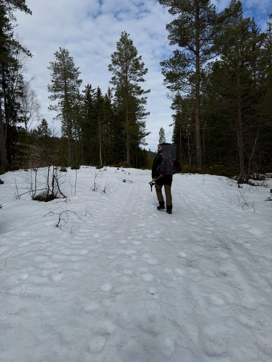 ExpeditionFoods's tweet image. Nordmarka photo dump 🇳🇴

fellmanadventuregear.com

#norwaynature🇳🇴 #campinggear #camping #camplife #wilderness
Reposted from @fellman.adventuregear