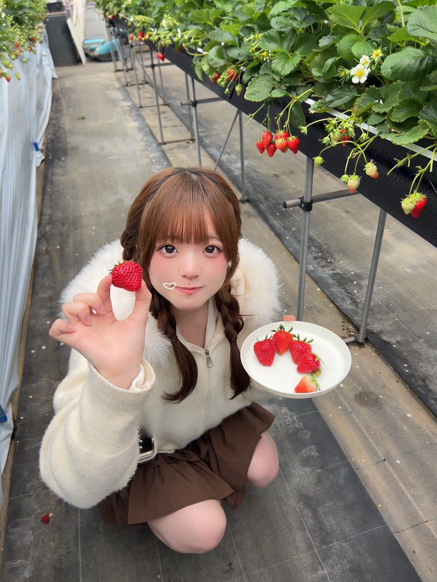 兎佐美るか tweet media