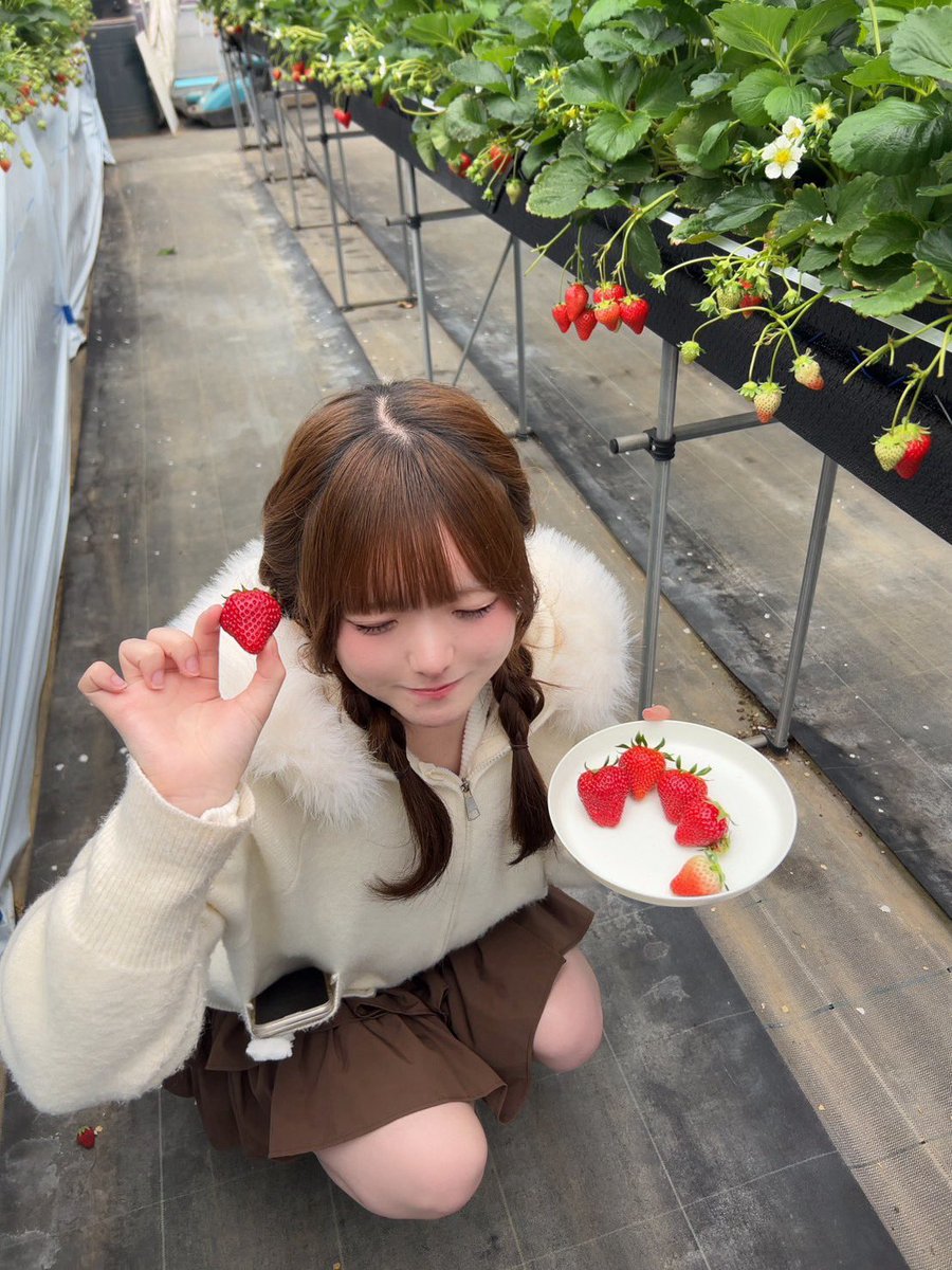 兎佐美るか tweet media