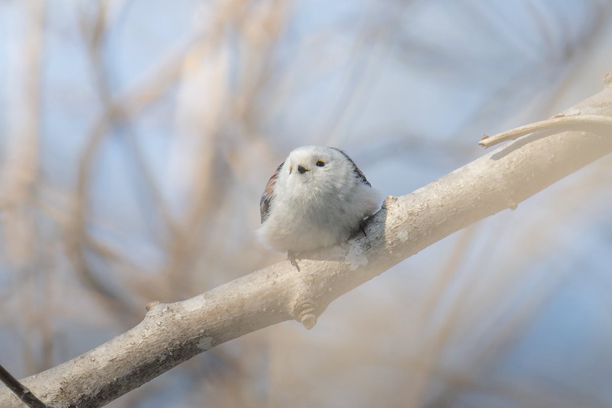 水谷草之介 | Mizutani Sounosuke tweet media