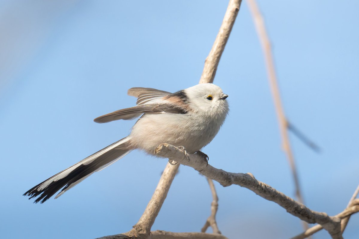 水谷草之介 | Mizutani Sounosuke tweet media