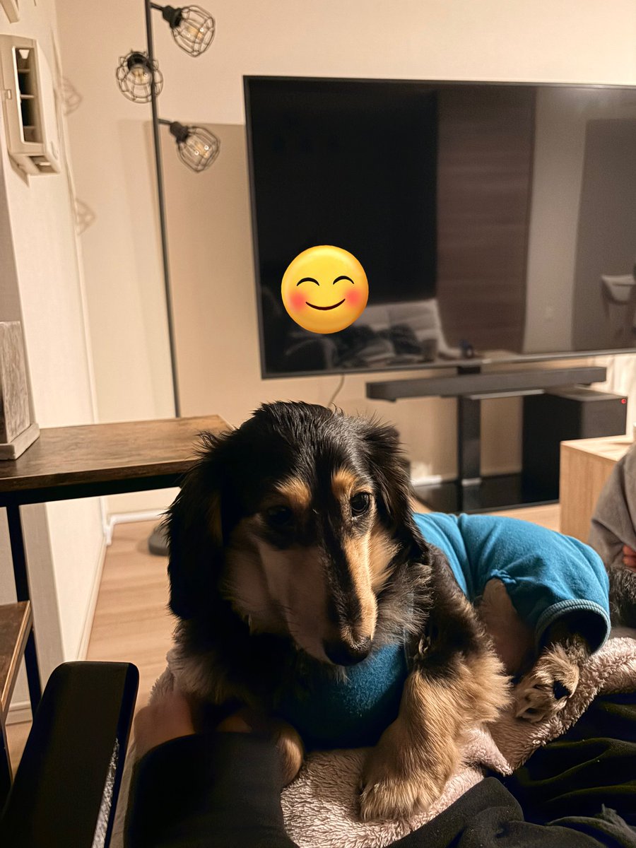 natsumi🪴 tweet media