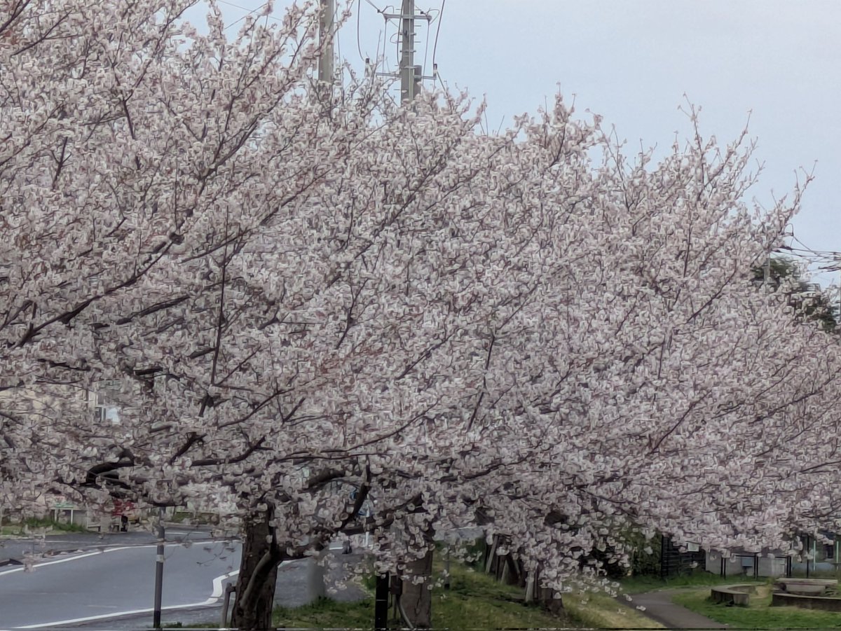ららアリ2026参戦👍️よっちる@そう君の笑顔と共に🎶♫ tweet media