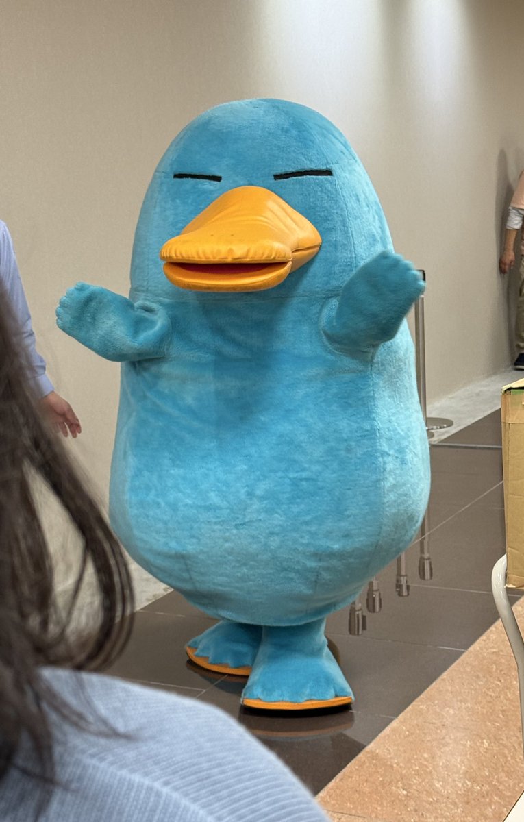 ドリームgo tweet media