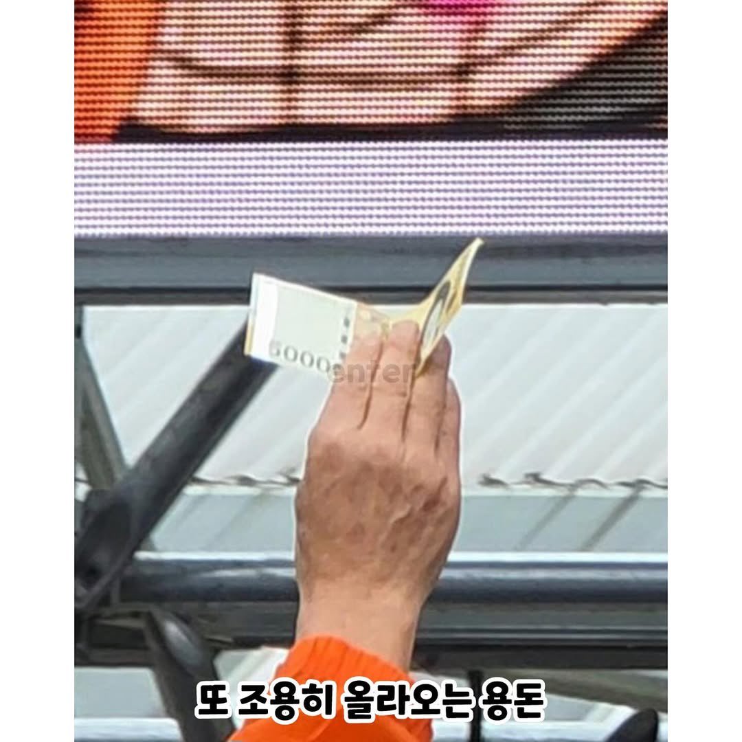 토마토 tweet media