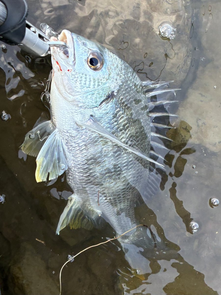 ハンドクリーム tweet media