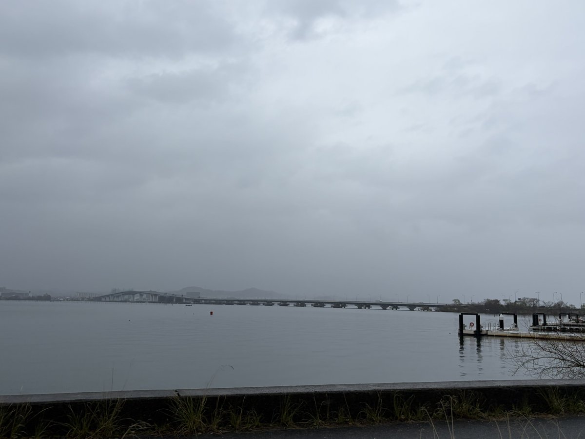 てこパカ(tecopaca)新肉球同盟写真部😻清掃隊🧼咲顔繋がり💜 tweet media