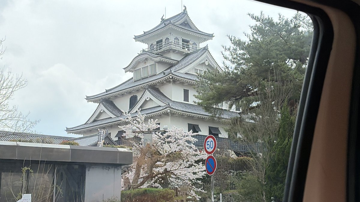 てこパカ(tecopaca)新肉球同盟写真部😻清掃隊🧼咲顔繋がり💜 tweet media