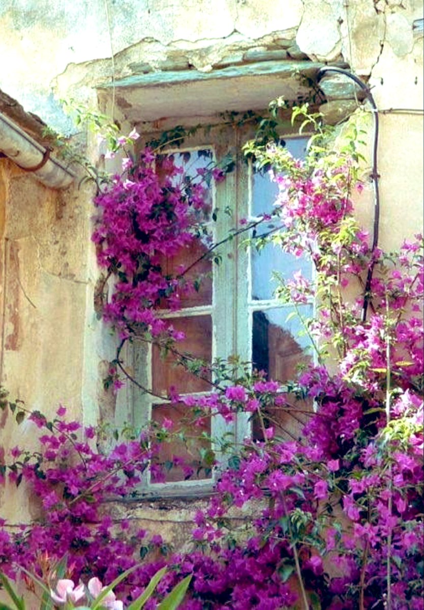 paula🐈⬛ tweet media