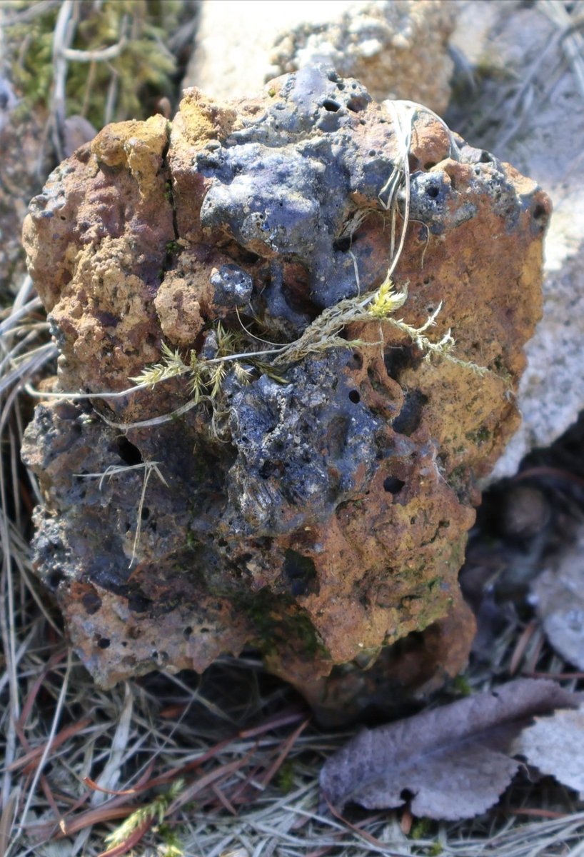 PMD486's tweet image. #random 🪨 
📷 2026-04-02