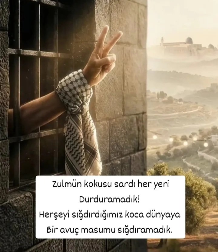 Nevin Bağcı🍂 tweet media