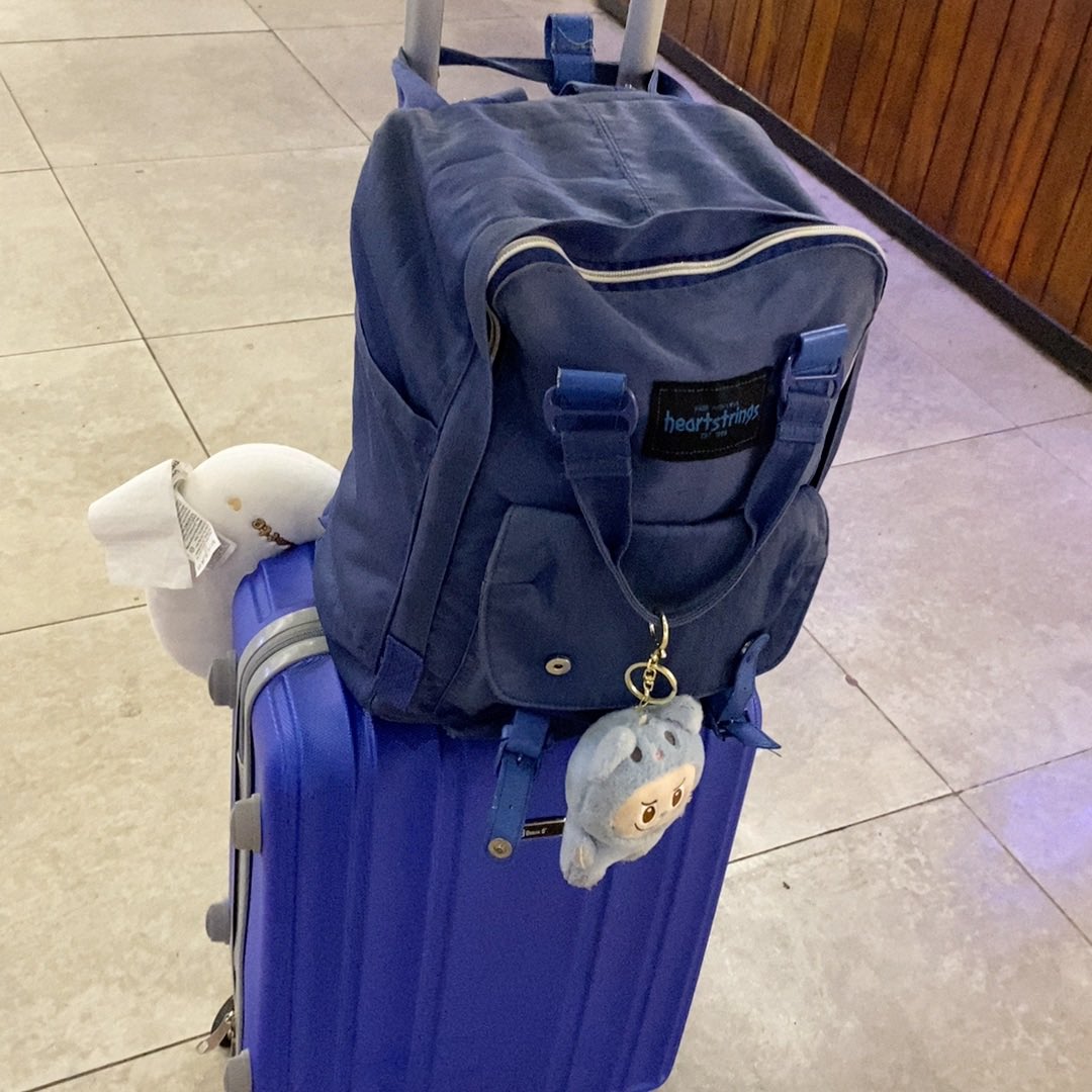 🐯 ⁷ tweet media