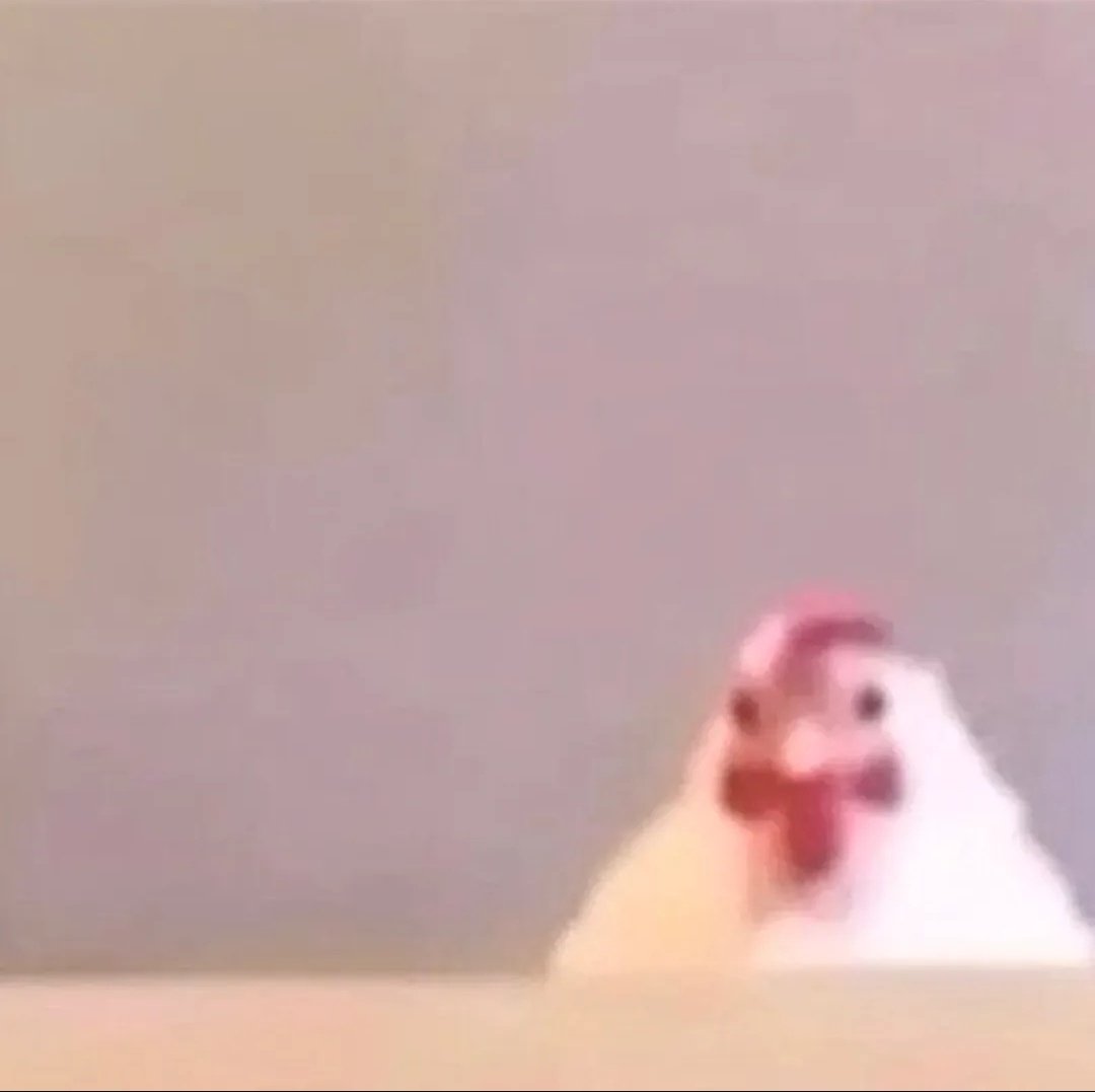 Irene ENHYPEN IS 7 🧷 tweet media