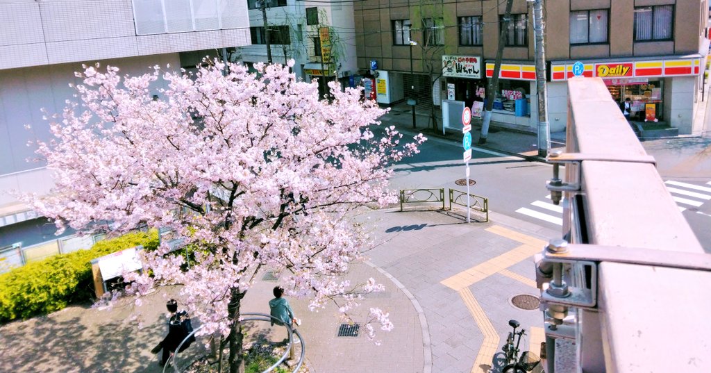 こっこ☆ tweet media