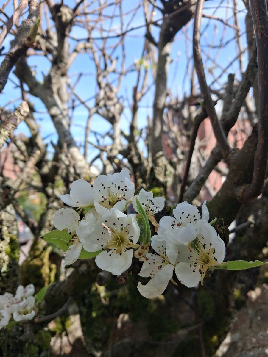 Sacré Monstre tweet media