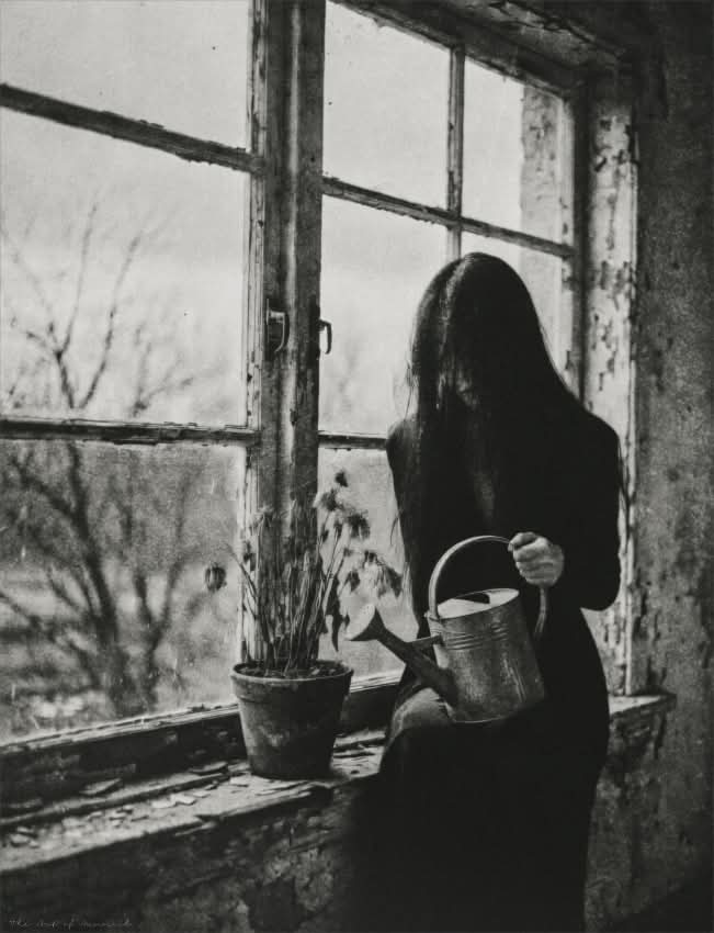 Scare crow tweet media