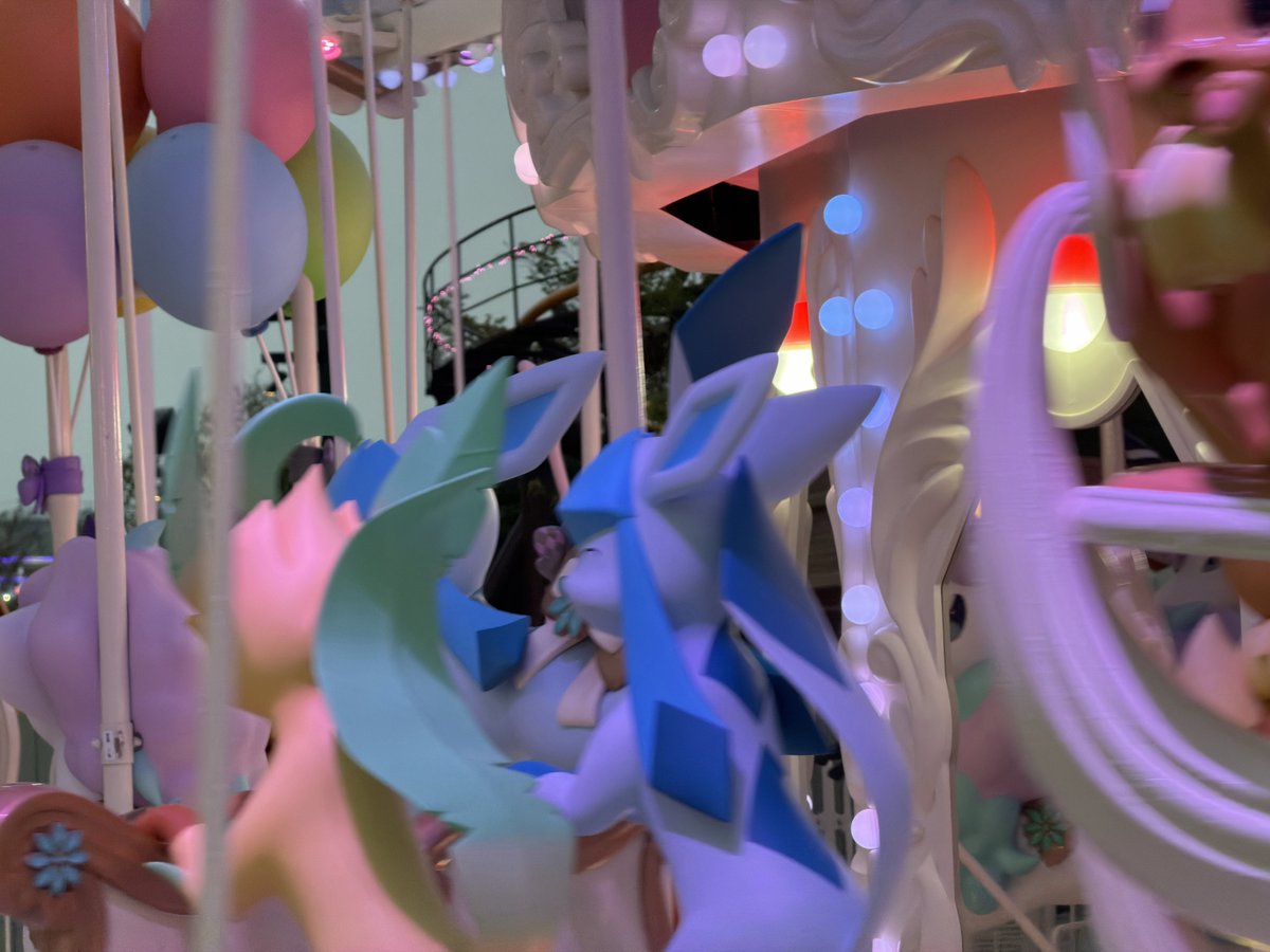 もふ汰🐿️🌼 tweet media