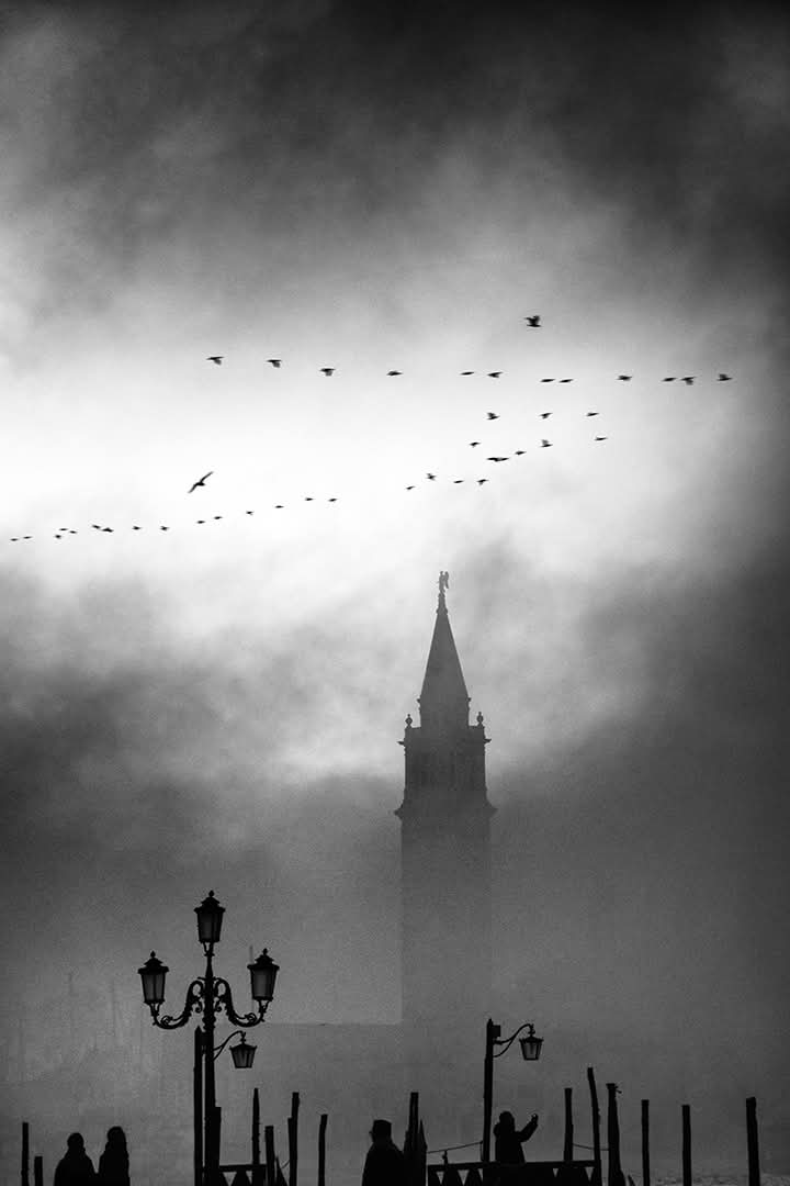 Scare crow tweet media