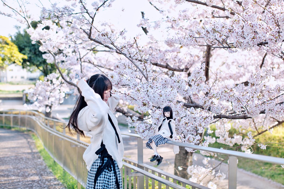 太楼(たろう)₍₍ 🍥 ⁾⁾ tweet media