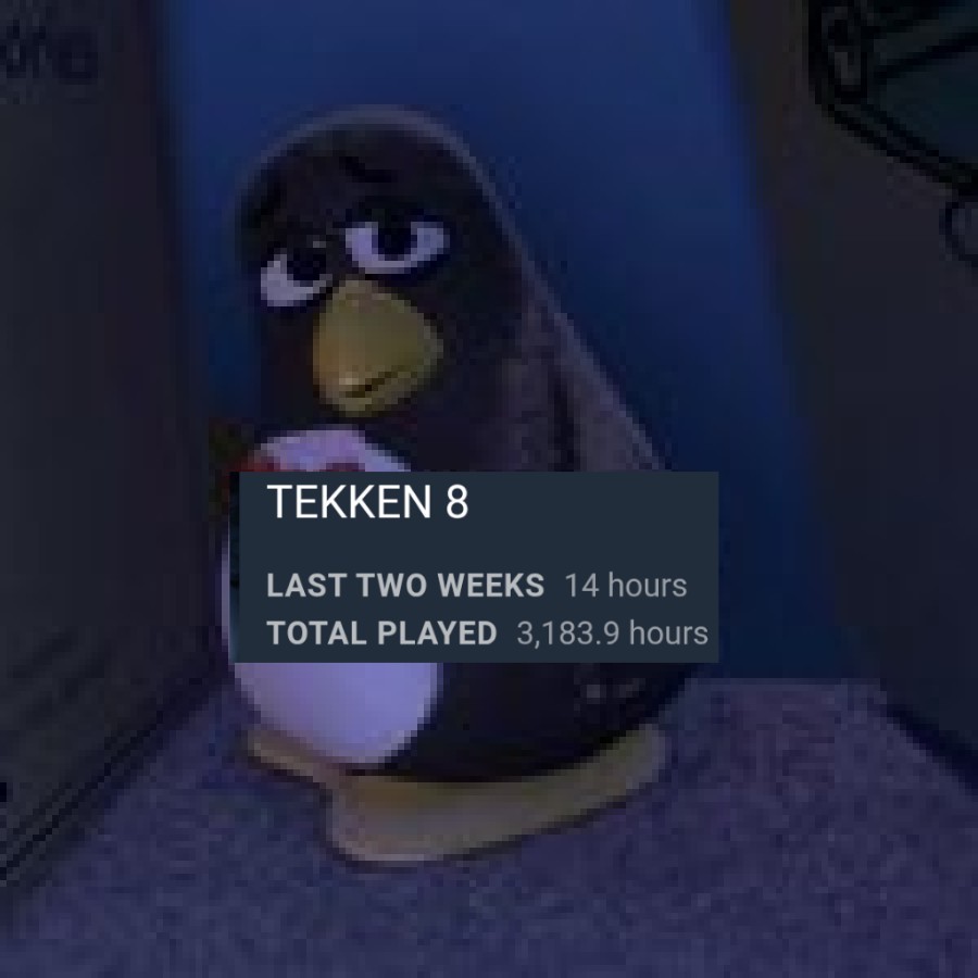 Dudes don't even quit tekken 8 anymore, they just stare at you like this: