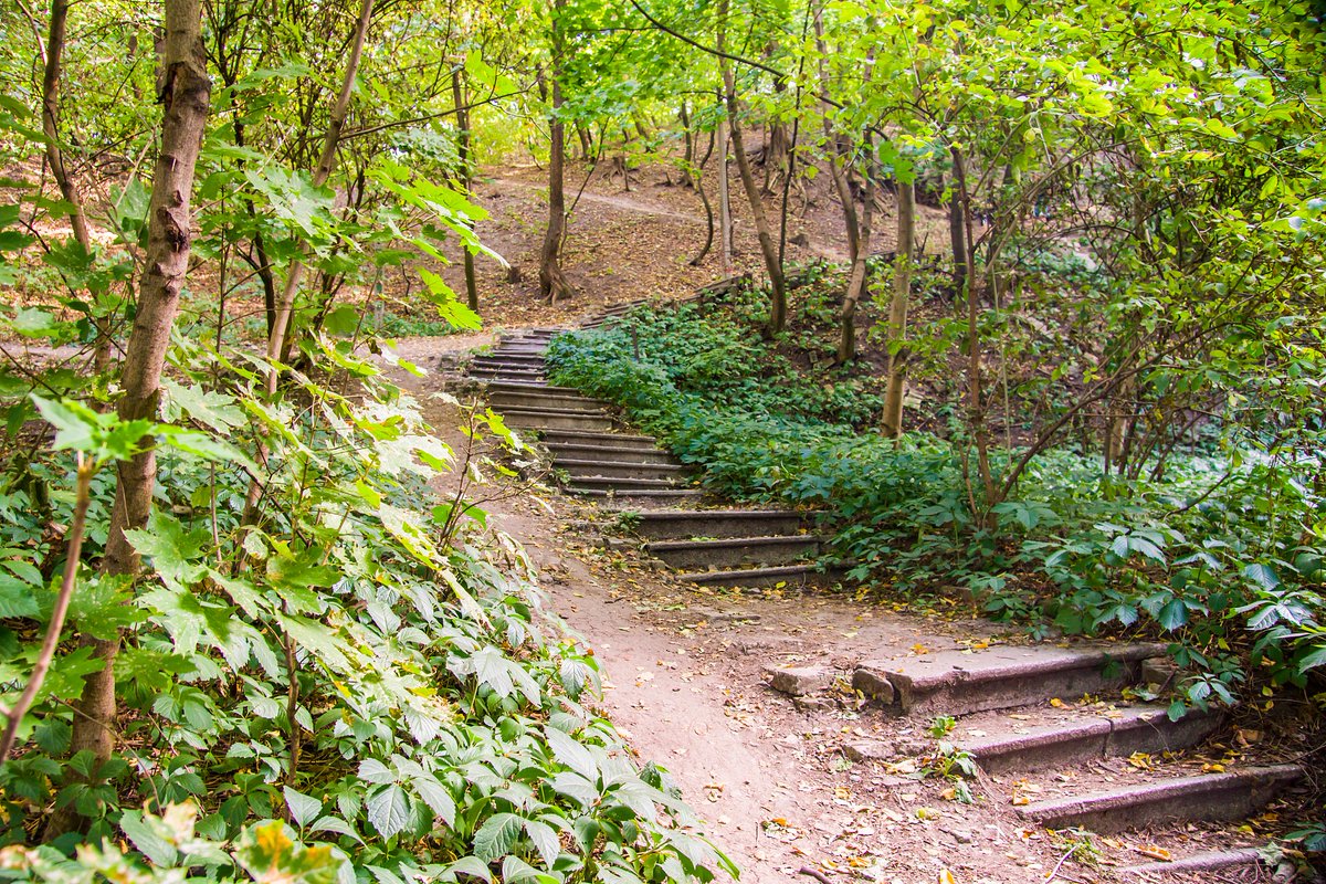 ود اللواء tweet media