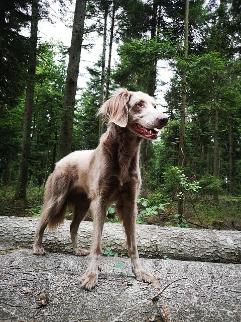 Holly Wright tweet media