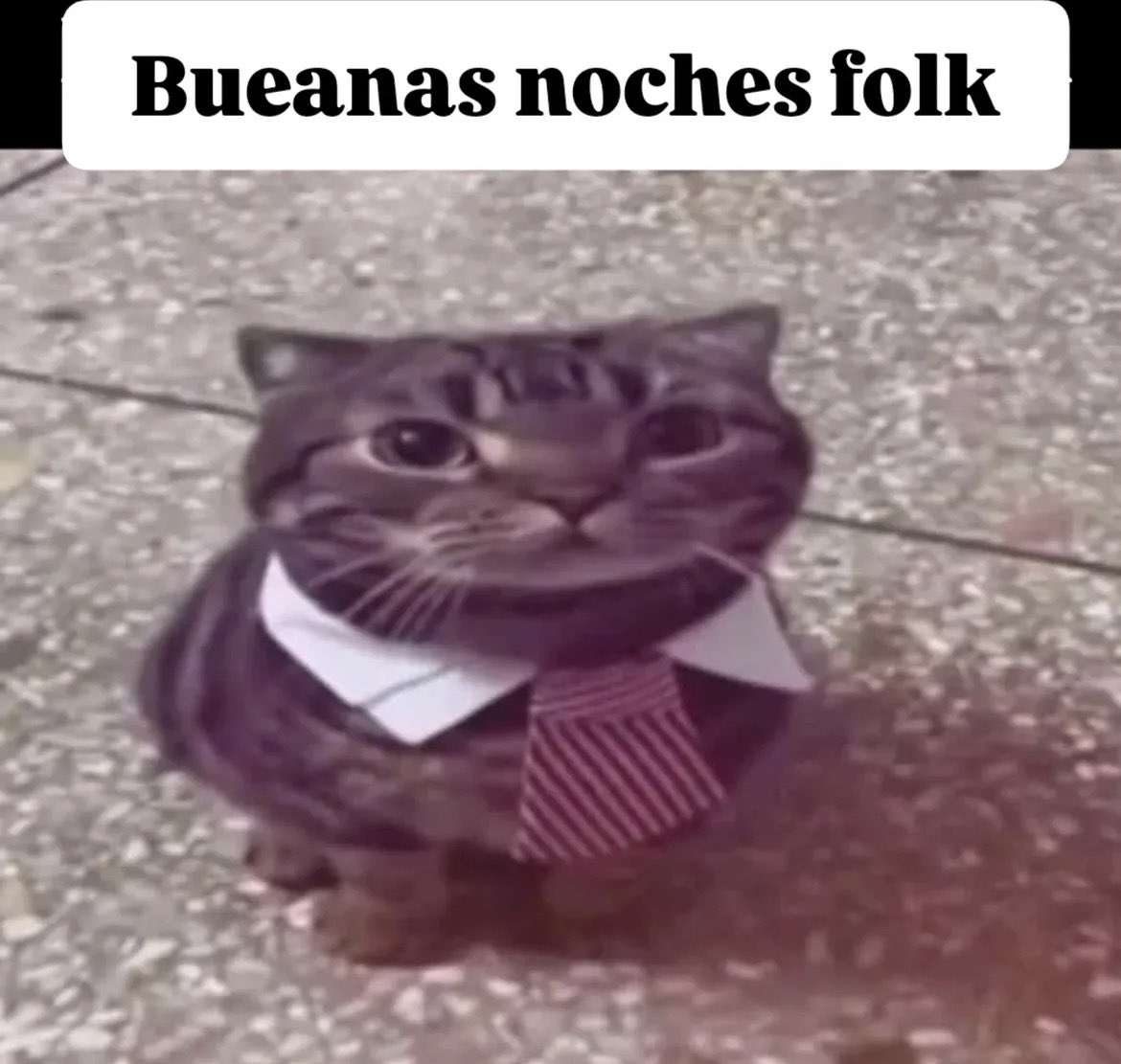 383858582485 tweet media