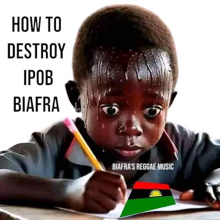 Rising Sun🌞 tweet media