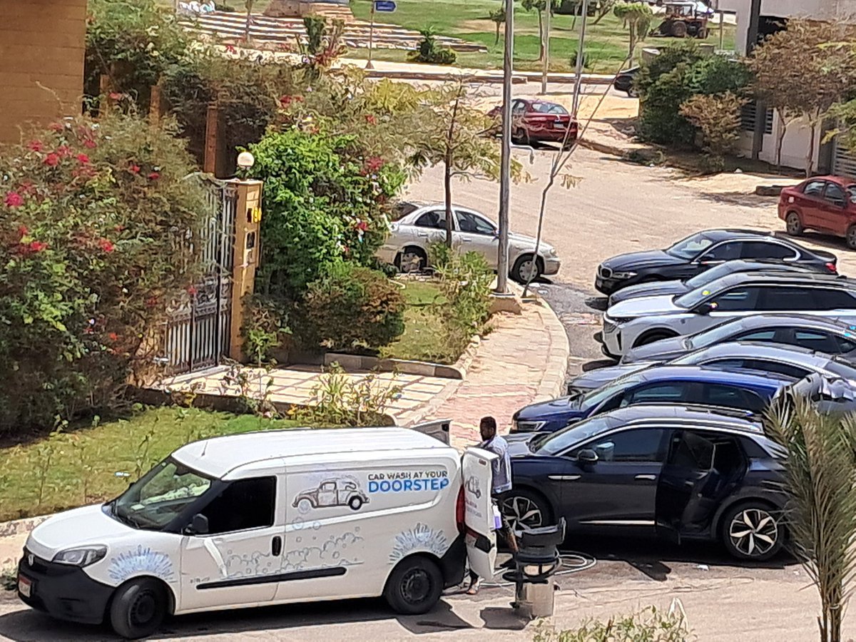 Dr. Princess tweet media